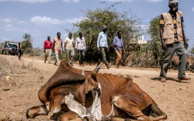 Bandidos y robo de ganado en el norte de Kenia: cómo una ‘costumbre’ ha acabado convirtiéndose en ‘caudillismo’