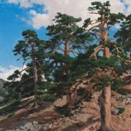 David Barquín Gómez